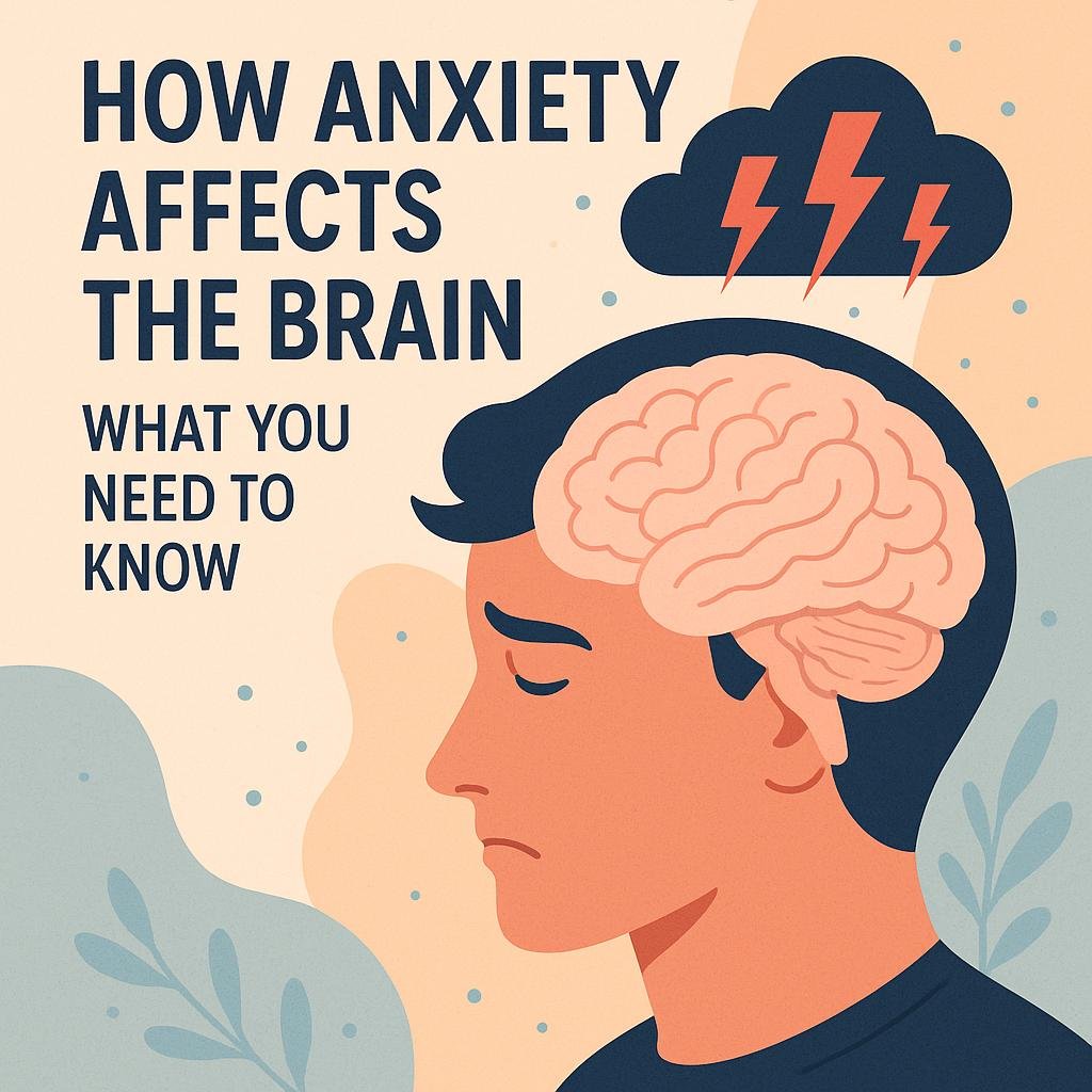 Diagram showing brain regions affected by anxiety with labels on the amygdala, hippocampus, and prefrontal cortex.

